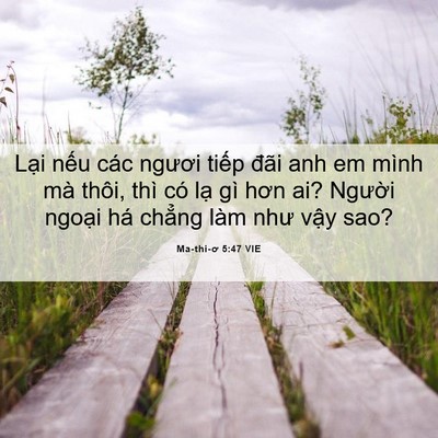 Picture 06 - Ma-thi-ơ 5:47 VIE - Lại nếu các ngươi tiếp đãi anh em - Bible Verse Picture