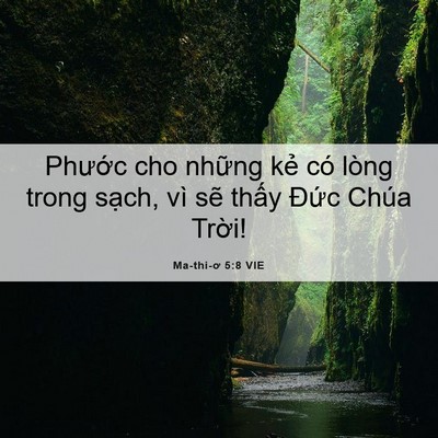 Picture 06 - Ma-thi-ơ 5:8 VIE - Phước cho những kẻ có lòng trong sạch, - Bible Verse Picture