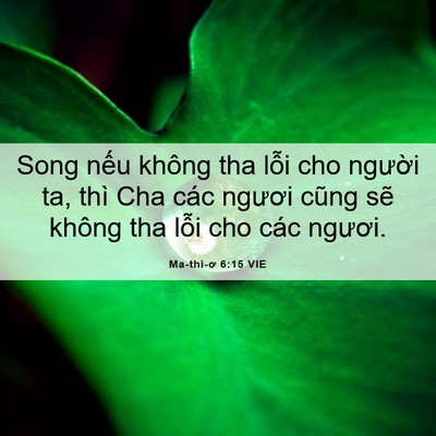 Picture 06 - Ma-thi-ơ 6:15 VIE - Song nếu không tha lỗi cho người ta, thì - Bible Verse Picture