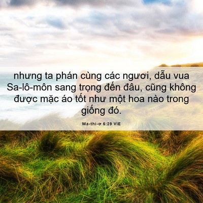 Picture 06 - Ma-thi-ơ 6:29 VIE - nhưng ta phán cùng các ngươi, dẫu vua - Bible Verse Picture