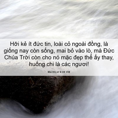 Picture 06 - Ma-thi-ơ 6:30 VIE - Hỡi kẻ ít đức tin, loài cỏ ngoài - Bible Verse Picture