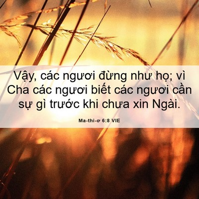 Picture 06 - Ma-thi-ơ 6:8 VIE - Vậy, các ngươi đừng như họ; vì Cha - Bible Verse Picture