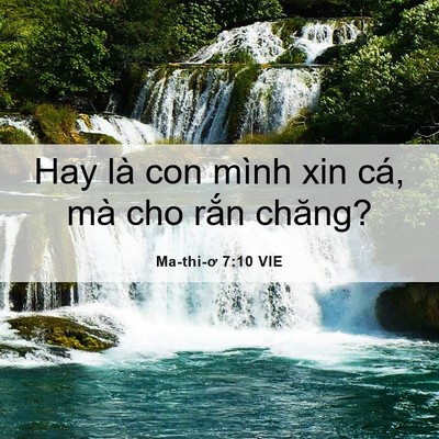 Picture 06 - Ma-thi-ơ 7:10 VIE - Hay là con mình xin cá, mà cho rắn - Bible Verse Picture