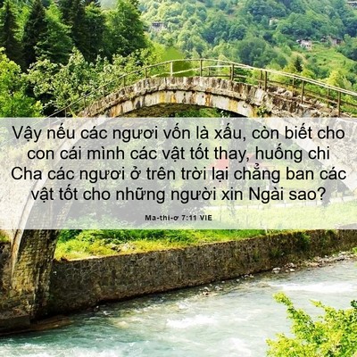 Picture 06 - Ma-thi-ơ 7:11 VIE - Vậy nếu các ngươi vốn là xấu, còn - Bible Verse Picture