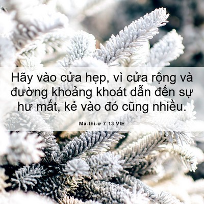 Picture 06 - Ma-thi-ơ 7:13 VIE - Hãy vào cửa hẹp, vì cửa rộng và - Bible Verse Picture