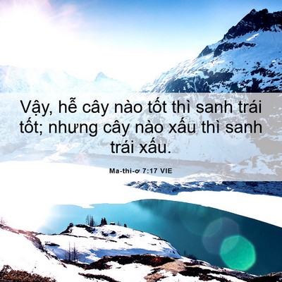Picture 06 - Ma-thi-ơ 7:17 VIE - Vậy, hễ cây nào tốt thì sanh trái - Bible Verse Picture