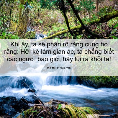 Picture 06 - Ma-thi-ơ 7:23 VIE - Khi ấy, ta sẽ phán rõ ràng cùng họ - Bible Verse Picture