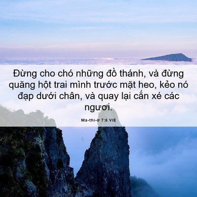 Picture 06 - Ma-thi-ơ 7:6 VIE - Đừng cho chó những đồ thánh, và - Bible Verse Picture