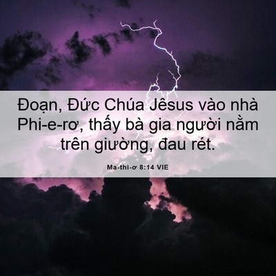 Picture 06 - Ma-thi-ơ 8:14 VIE - Đoạn, Đức Chúa Jêsus vào nhà Phi-e-rơ, - Bible Verse Picture