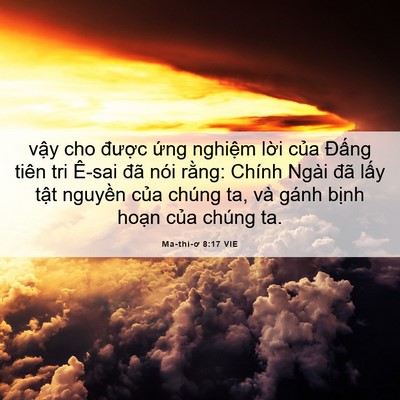 Picture 06 - Ma-thi-ơ 8:17 VIE - vậy cho được ứng nghiệm lời của - Bible Verse Picture