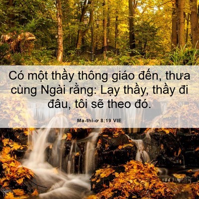 Picture 06 - Ma-thi-ơ 8:19 VIE - Có một thầy thông giáo đến, thưa cùng - Bible Verse Picture