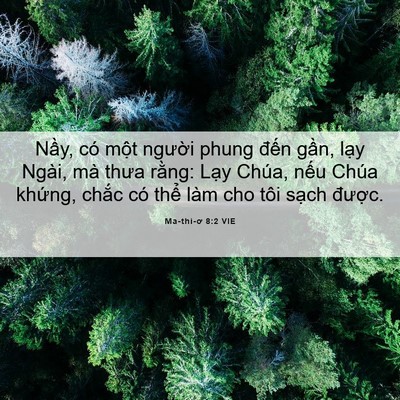 Picture 06 - Ma-thi-ơ 8:2 VIE - Nầy, có một người phung đến gần, - Bible Verse Picture