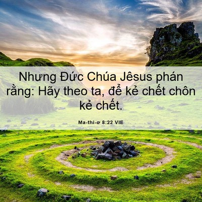 Picture 06 - Ma-thi-ơ 8:22 VIE - Nhưng Đức Chúa Jêsus phán rằng: Hãy - Bible Verse Picture