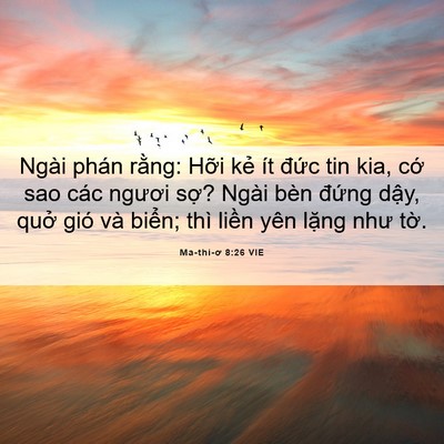 Picture 06 - Ma-thi-ơ 8:26 VIE - Ngài phán rằng: Hỡi kẻ ít đức tin - Bible Verse Picture