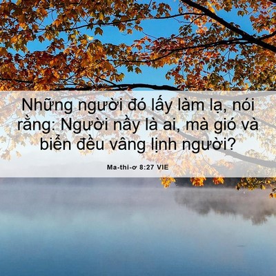 Picture 06 - Ma-thi-ơ 8:27 VIE - Những người đó lấy làm lạ, nói - Bible Verse Picture