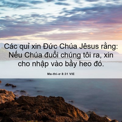 Picture 06 - Ma-thi-ơ 8:31 VIE - Các quỉ xin Đức Chúa Jêsus rằng: Nếu - Bible Verse Picture