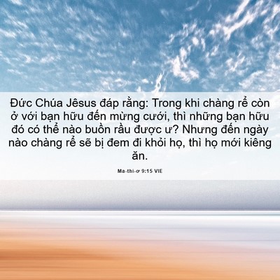 Picture 06 - Ma-thi-ơ 9:15 VIE - Đức Chúa Jêsus đáp rằng: Trong khi - Bible Verse Picture