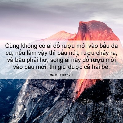 Picture 06 - Ma-thi-ơ 9:17 VIE - Cũng không có ai đổ rượu mới vào - Bible Verse Picture