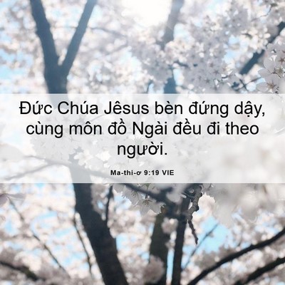 Picture 06 - Ma-thi-ơ 9:19 VIE - Đức Chúa Jêsus bèn đứng dậy, cùng - Bible Verse Picture