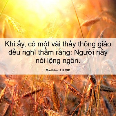 Picture 06 - Ma-thi-ơ 9:3 VIE - Khi ấy, có một vài thầy thông giáo - Bible Verse Picture