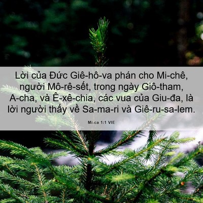 Picture 06 - Mi-ca 1:1 VIE - Lời của Đức Giê-hô-va phán cho Mi-chê, - Bible Verse Picture