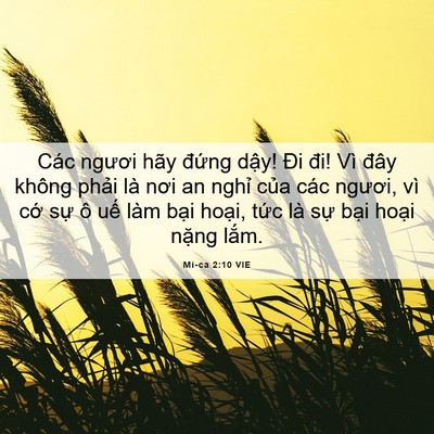 Picture 06 - Mi-ca 2:10 VIE - Các ngươi hãy đứng dậy! Đi đi! Vì - Bible Verse Picture