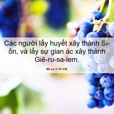 Picture 06 - Mi-ca 3:10 VIE - Các người lấy huyết xây thành Si-ôn, - Bible Verse Picture