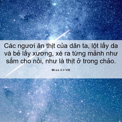 Picture 06 - Mi-ca 3:3 VIE - Các ngươi ăn thịt của dân ta, lột - Bible Verse Picture