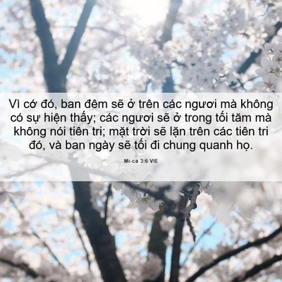 Picture 06 - Mi-ca 3:6 VIE - Vì cớ đó, ban đêm sẽ ở trên các - Bible Verse Picture
