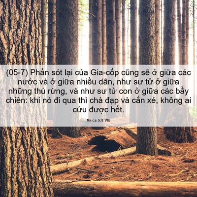 Picture 06 - Mi-ca 5:8 VIE - (05-7) Phần sót lại của Gia-cốp cũng - Bible Verse Picture