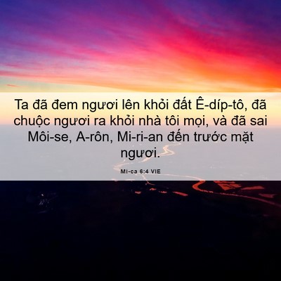 Picture 06 - Mi-ca 6:4 VIE - Ta đã đem ngươi lên khỏi đất - Bible Verse Picture