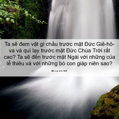 Picture 06 - Mi-ca 6:6 VIE - Ta sẽ đem vật gì chầu trước mặt - Bible Verse Picture