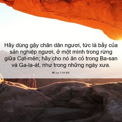 Picture 06 - Mi-ca 7:14 VIE - Hãy dùng gậy chăn dân ngươi, tức là - Bible Verse Picture