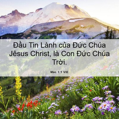 Picture 06 - Mác 1:1 VIE - Đầu Tin Lành của Đức Chúa Jêsus - Bible Verse Picture