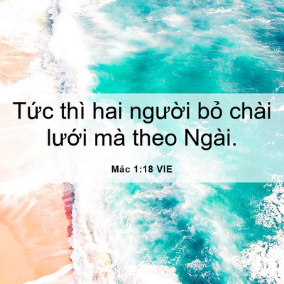Picture 06 - Mác 1:18 VIE - Tức thì hai người bỏ chài lưới mà - Bible Verse Picture