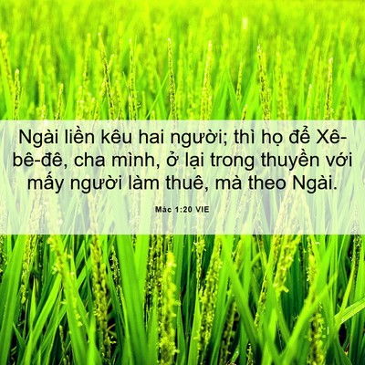 Picture 06 - Mác 1:20 VIE - Ngài liền kêu hai người; thì họ để - Bible Verse Picture