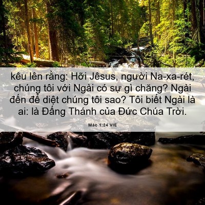 Picture 06 - Mác 1:24 VIE - kêu lên rằng: Hỡi Jêsus, người - Bible Verse Picture