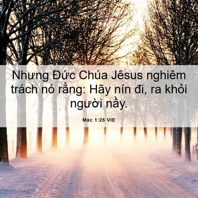 Picture 06 - Mác 1:25 VIE - Nhưng Đức Chúa Jêsus nghiêm trách nó - Bible Verse Picture