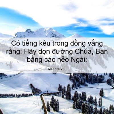 Picture 06 - Mác 1:3 VIE - Có tiếng kêu trong đồng vắng rằng: - Bible Verse Picture