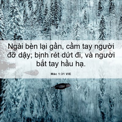 Picture 06 - Mác 1:31 VIE - Ngài bèn lại gần, cầm tay người đỡ - Bible Verse Picture