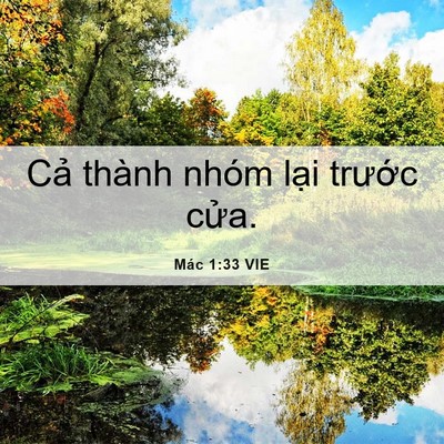 Picture 06 - Mác 1:33 VIE - Cả thành nhóm lại trước - Bible Verse Picture