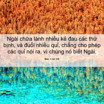 Picture 06 - Mác 1:34 VIE - Ngài chữa lành nhiều kẻ đau các thứ - Bible Verse Picture