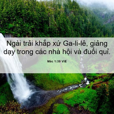 Picture 06 - Mác 1:39 VIE - Ngài trải khắp xứ Ga-li-lê, giảng dạy - Bible Verse Picture