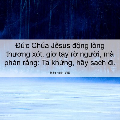 Picture 06 - Mác 1:41 VIE - Đức Chúa Jêsus động lòng thương xót, - Bible Verse Picture