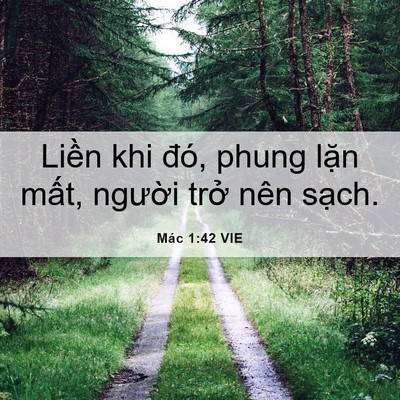 Picture 06 - Mác 1:42 VIE - Liền khi đó, phung lặn mất, người - Bible Verse Picture