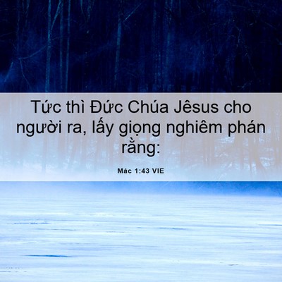 Picture 06 - Mác 1:43 VIE - Tức thì Đức Chúa Jêsus cho người ra, - Bible Verse Picture