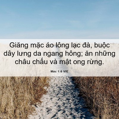 Picture 06 - Mác 1:6 VIE - Giăng mặc áo lông lạc đà, buộc dây - Bible Verse Picture