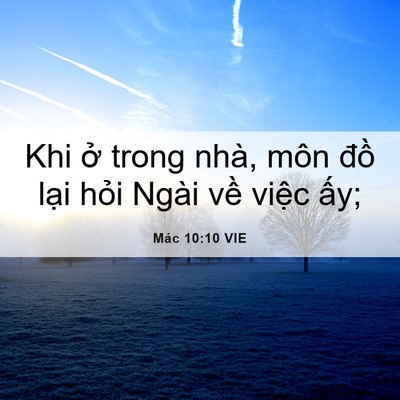 Picture 06 - Mác 10:10 VIE - Khi ở trong nhà, môn đồ lại hỏi Ngài - Bible Verse Picture