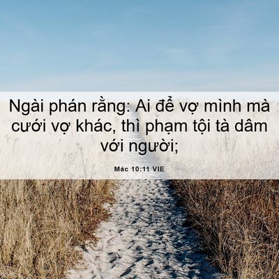 Picture 06 - Mác 10:11 VIE - Ngài phán rằng: Ai để vợ mình mà - Bible Verse Picture