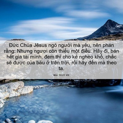 Picture 06 - Mác 10:21 VIE - Đức Chúa Jêsus ngó người mà yêu, nên - Bible Verse Picture